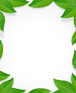 Çerçeve bırakır. Yaprak yeşil dekorasyon.