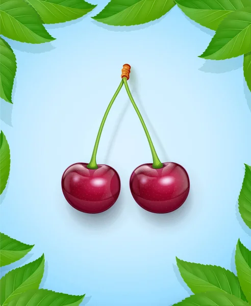 Zwei Kirschen mit grünen Blättern. frische, saftige, reife Früchte. — Stockvektor