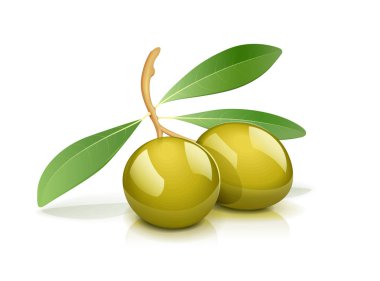İki yeşil zeytin yaprağı