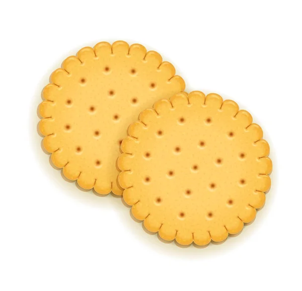 Two delicious round biscuit. — Stock Vector