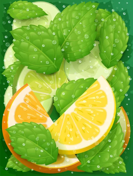 清爽柠檬、橘子、薄荷和黄瓜排毒水 — 图库矢量图片