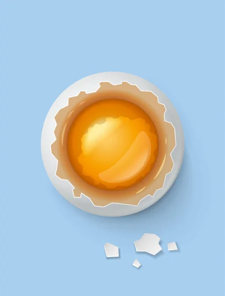 Rozbité vajíčko s žloutku a shell — Stockový vektor