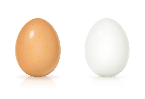 设置黄色和白色的蛋壳 烹饪早餐的产品 有机食品 查看逼真的生食 隔离在白色背景上 Eps10 向量例证 — 图库矢量图片