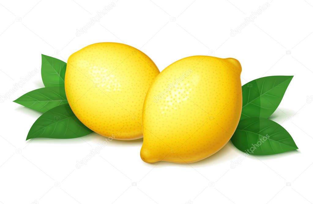 Ripe, juicy lemon with green leaf. Vector illustration.