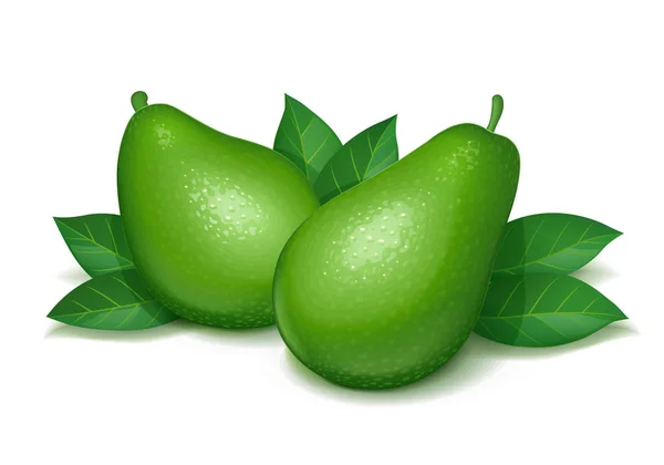 Спелый, сочный авокадо с зеленым листом. Векторная иллюстрация . — стоковый вектор