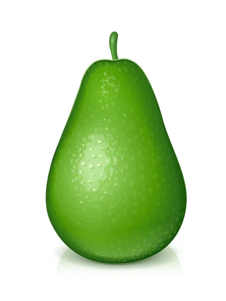 Rijp, sappige groene avocado. Vectorillustratie. — Stockvector