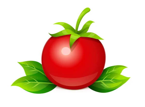 Tomate. Légume mûr avec feuille. Illustration vectorielle . — Image vectorielle