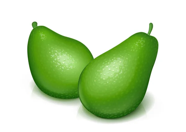 成熟, 多汁的绿色鳄梨。向量例证. — 图库矢量图片