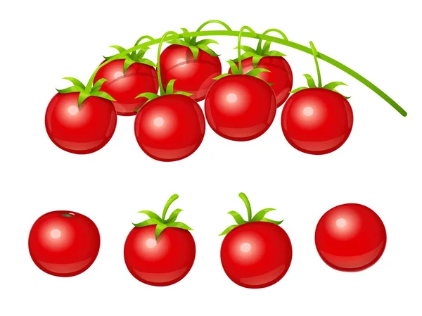 Cereza de tomate. Conjunto de verduras frescas en rama. Vector . — Archivo Imágenes Vectoriales