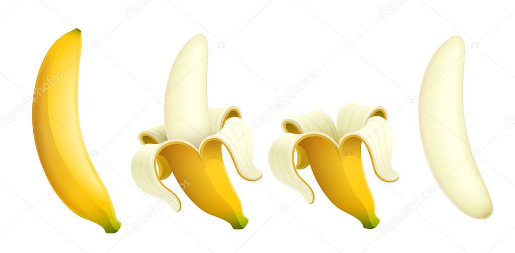 Ripe banana. Set of Tropical fruit. Vector illustration.