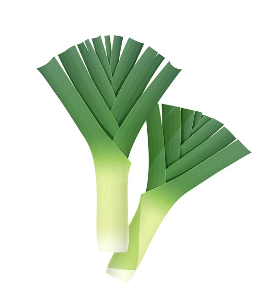 Луковый лук-порей. Зелёный овощ. Векторная иллюстрация . — стоковый вектор
