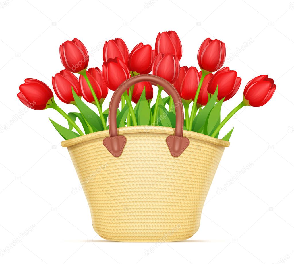 Wicker basket with tulip flower bouquet. Vector illustration.