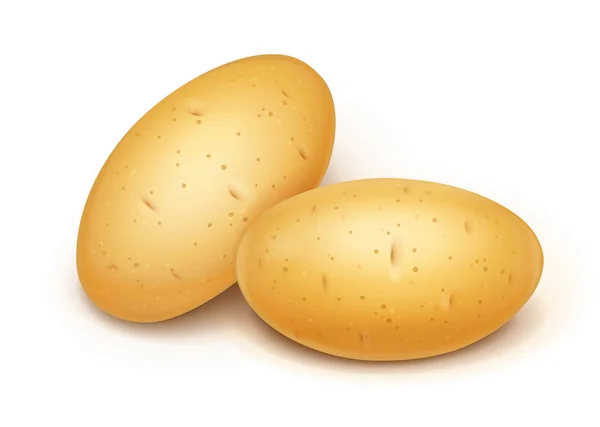 Duas batatas. Vegetais úteis. Ilustração vetorial . — Vetor de Stock