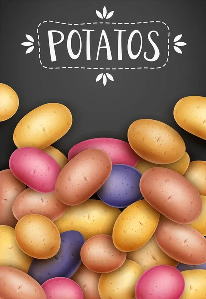 Batatas. Vegetais úteis. Ilustração vetorial . —  Vetores de Stock