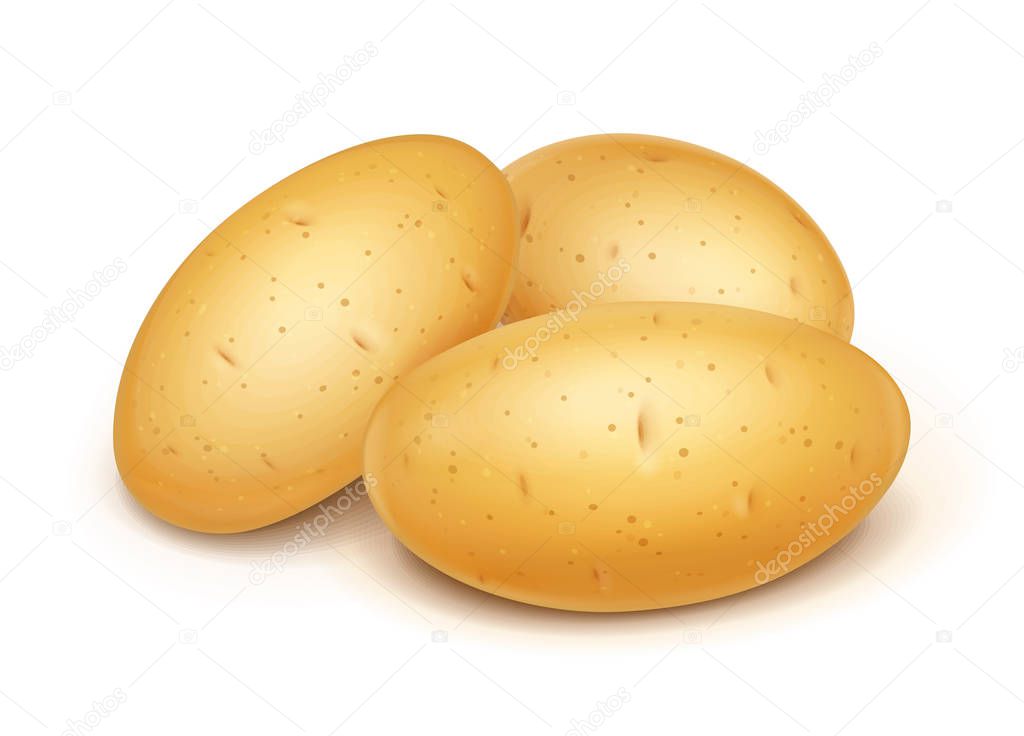 Potatoes. Useful vegetable. Vector illustration.