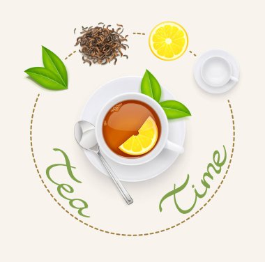 Taze yeşil ve kurutulmuş yaprakları ile çay bardağı. Vektör Illustration.