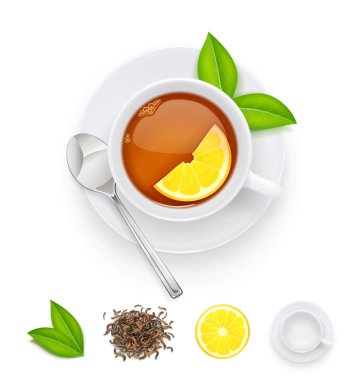 Taze yeşil ve kurutulmuş yaprakları ile çay bardağı. Vektör Illustration.