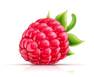 Ahududu. Taze organik meyve.