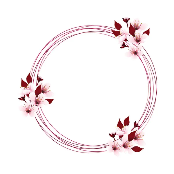 Kreislinien Als Kranz Mit Kirschblütensträußen Sakura Süß Rosa Blüten Mit — Stockvektor