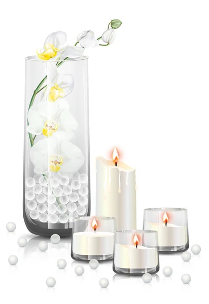 Branch White Phalaenopsis Orchid Moth Orchid Flowers Clear Glass Candles — Vetor de Stock