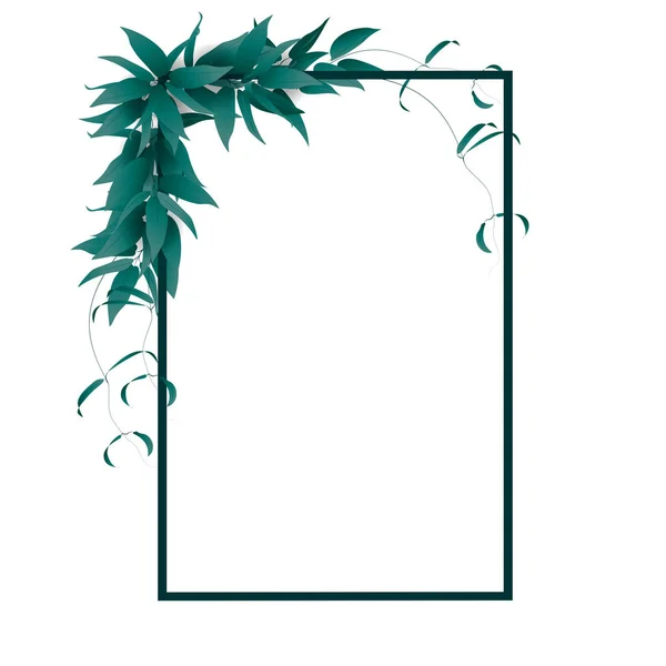 Rahmen Für Text Mit Sommergrünen Blättern Auf Weißem Hintergrund Vektorillustration — Stockvektor