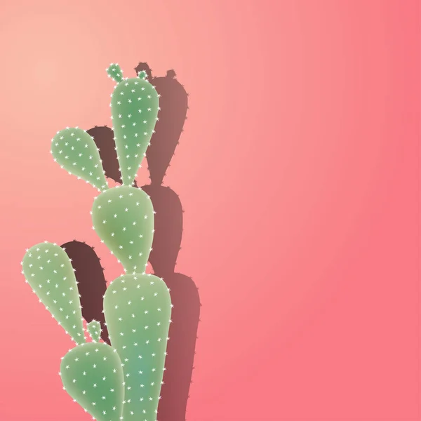Cactus with shadow on the coral color wall. Cactus are succulents can live in extremely dry and hot environments. Vector illustration with copy space.