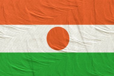 Nijer Cumhuriyeti bayrak sallayarak