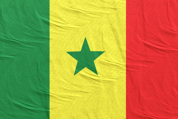 Szenegál zászlót lengetve — Stock Fotó