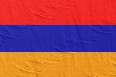 Ermenistan bayrağı sallayarak