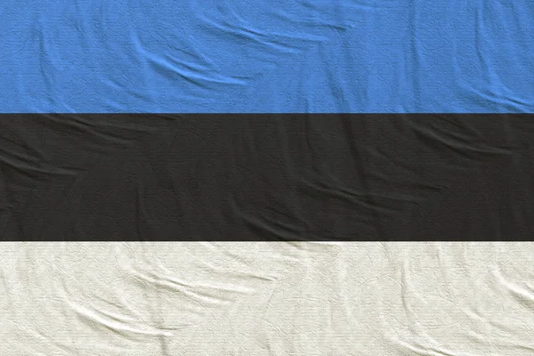 Εσθονία σημαία κυματίζει — Φωτογραφία Αρχείου