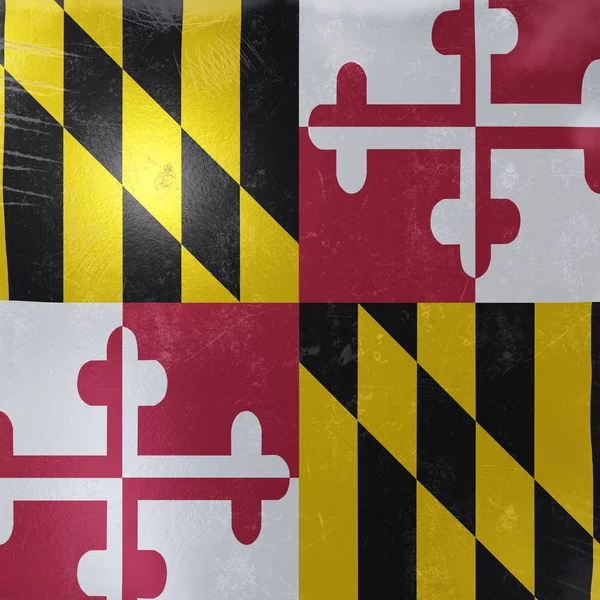 Ikona státu Maryland — Stock fotografie