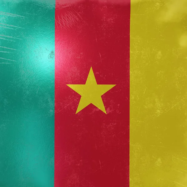 Cameroon flag icon — Stock Photo, Image