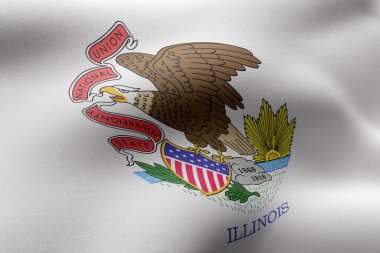 Ayrıntılı ve desenli Illinois ABD bayrağının 3D çizimi