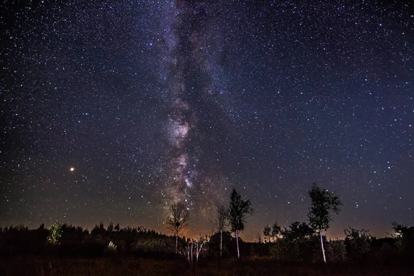 Mléčná Dráha Nad Stromy Existuje Nějaký Hluk Vysoké Iso — Stock fotografie