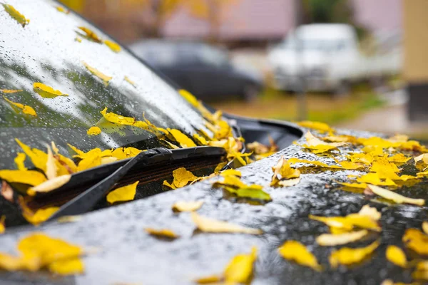 Folhas Amarelas Caídas Capô Carro Preto Quedas Chuva Imagem De Stock