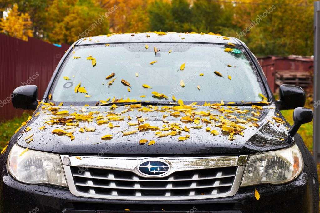 KHABAROVSK, RUSSIA - SEPTEMBER 23, 2018: SUBARU car with yellow autumn leaves on its hood