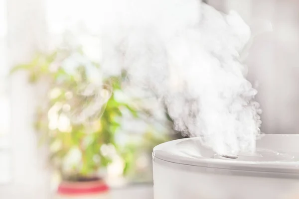 Dampf Aus Luftbefeuchter Der Nähe Von Zimmerpflanzen — Stockfoto