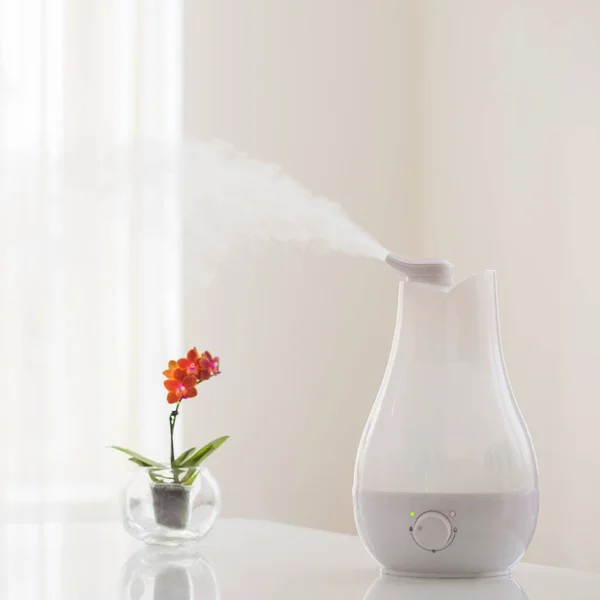Luftbefeuchter Verbreitet Dampf Wohnzimmer — Stockfoto