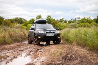 Nikolaevka, Rusya - 23 Haziran 2020: Kara Subaru Forester yazın kirli orman yolunda