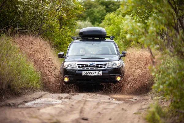 Nikolaevka Rusia Iunie 2020 Pădurea Subaru Neagră Deplasează Drum Forestier — Fotografie, imagine de stoc