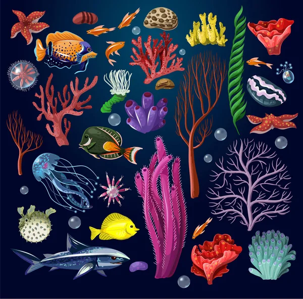 Habitants marins et plantes isolées . — Image vectorielle