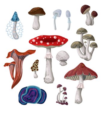 Beyaz arkaplanda izole edilmiş mantarlar.