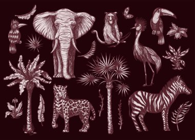 Palmiye, muz ve orman hayvanları gibi tropikal ağaç elementleri izole edildi. Vektör.