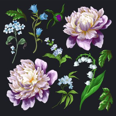 Şakayık, zambak ve bahar çiçekleri izole edilmiş. Vektör