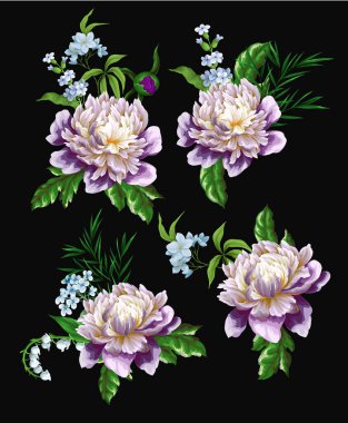 Şakayık, zambak ve bahar çiçekleri izole edilmiş. Vektör