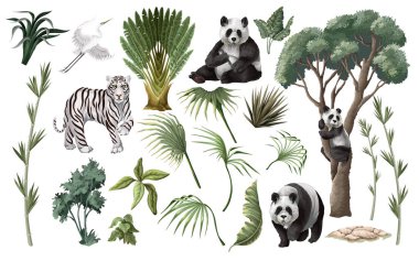 Ayrıntılı İzole Panda Üçlüsü Tropikal Orman Yaprakları Santralleri Vektör Resimleriyle çevrili.