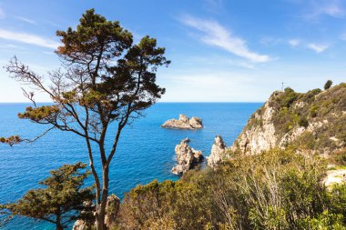 Corfu Island Sahil şeridi