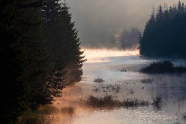 Muhteşem bir yaz sabahı Güzel bir dağ gölü kenarında