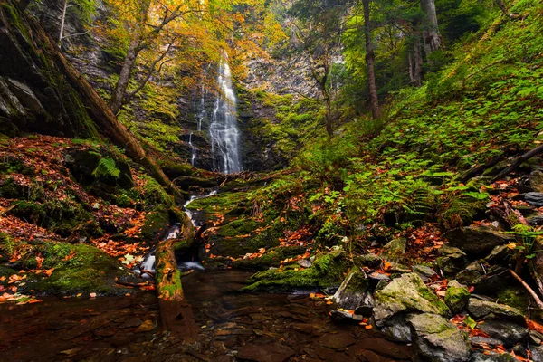 Orange Leaves Riverbank Waterfall — Stock Photo, Image