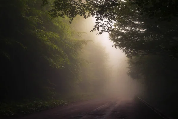 Ομίχλη Δάσος Γύρω Από Ένα Δρόμο Στο Ορεινό Πέρασμα — Φωτογραφία Αρχείου